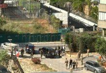 ذئب منفرد في عوكر!