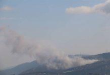 الحربُ في لبنان و”هديرها” في… المغتربات