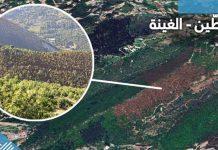 عاجل : مصرع فتاة من طبرجا