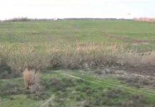 ما قصّة المرسوم المهرّب في حكومة ميقاتي؟