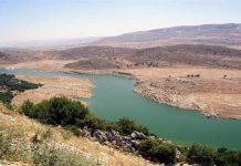 هل تُعلِن الحكومة جنوب اللّيطاني “خالياً من السّلاح”؟