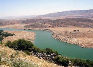 هل تُعلِن الحكومة جنوب اللّيطاني “خالياً من السّلاح”؟