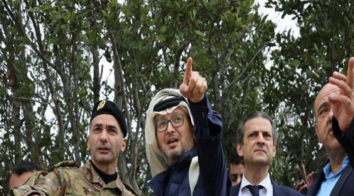 ما دلالات زيارة الدبلوماسيّين للجنوب؟