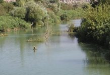 غرق مجموعة من السوريين والبحث عن المفقودين مستمر