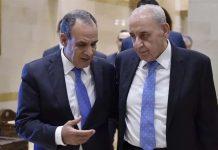 ما سرّ الإجازة التي أمضاها بري في مصر؟