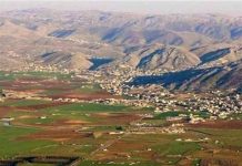 نصيحة أميركية للبنان برفع مستوى التفاوض