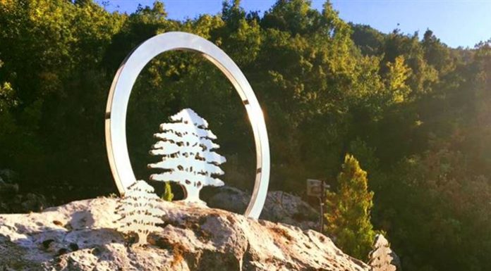 هذا ما كُشف عن زيارة الوفد القواتي إلى سوريا..