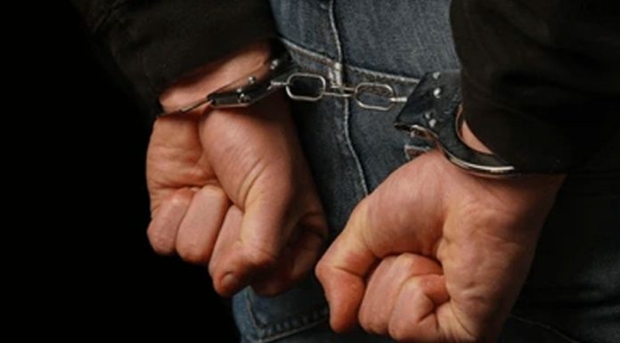 ترويج عملة مزيّفة ومخدّرات في الشمال… وأمن الدولة يوقف الفاعل