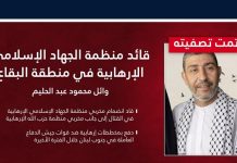 الجيش الإسرائيلي: قتلنا محمود عبد الحليم في بعلبك…