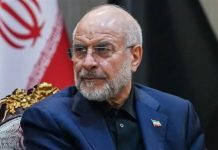 بجوازات سفر أموات.. كيف خطط الحرس الثوري الإيراني للتسلل إلى لبنان؟